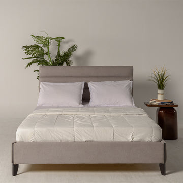Urban Haven Bed